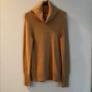 Banana Republic Turtle Neck Sweater